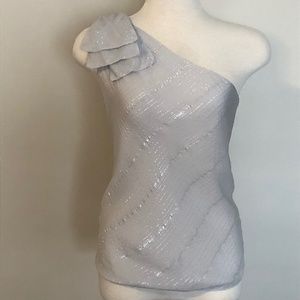 Like-New Club Monaco One-Shoulder Silver/Grey Top